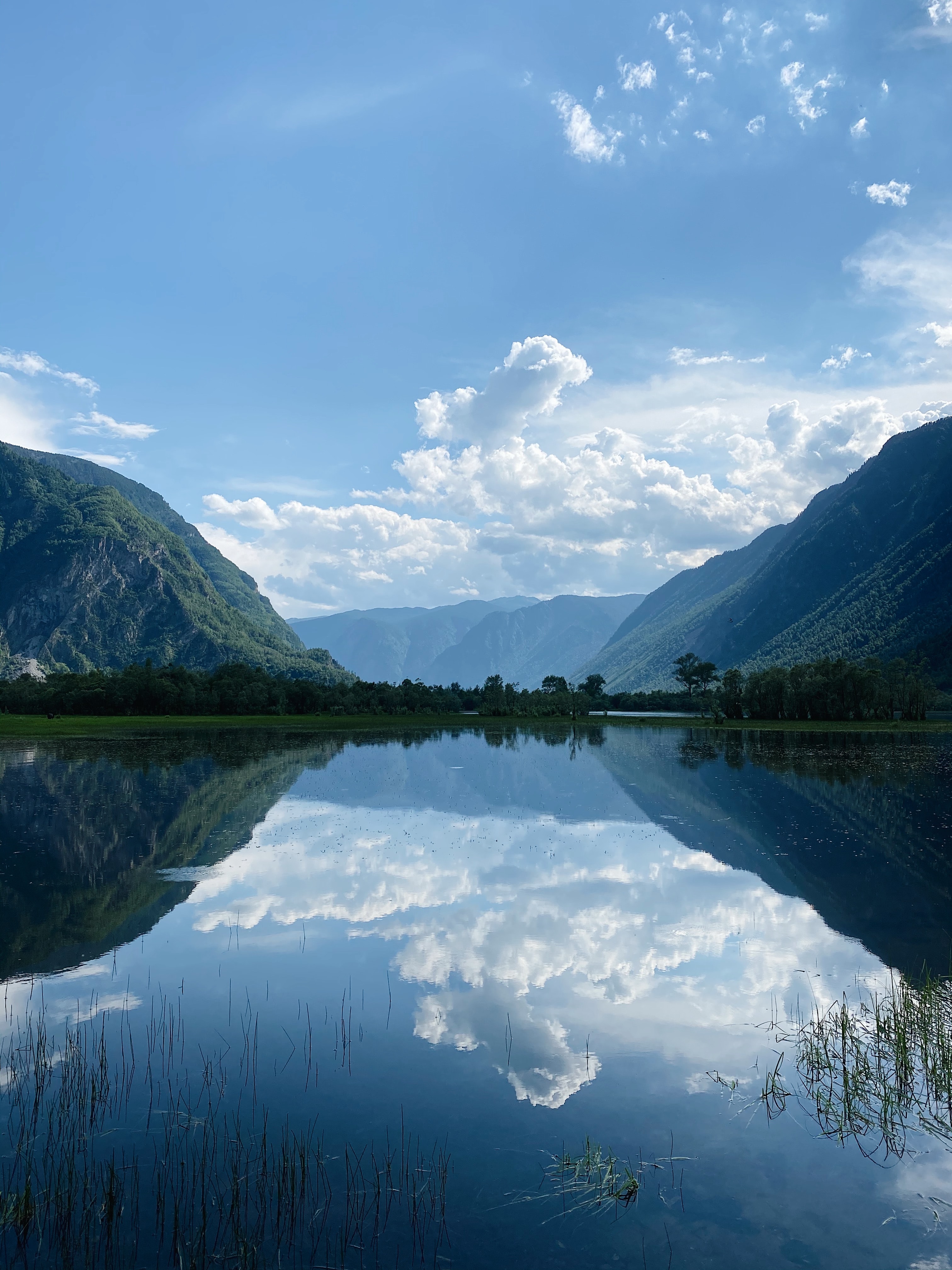 alexey-murzin-T8-Y9IwPFxE-unsplash